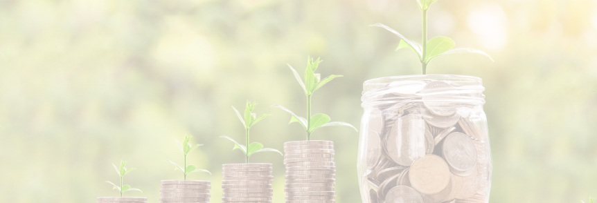 Small pots filled with coins and a plant growing out of each pot